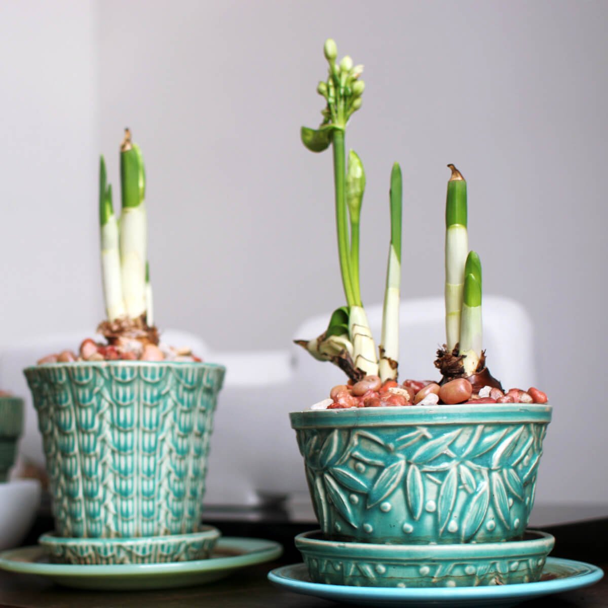 Flower Pots & Vases 